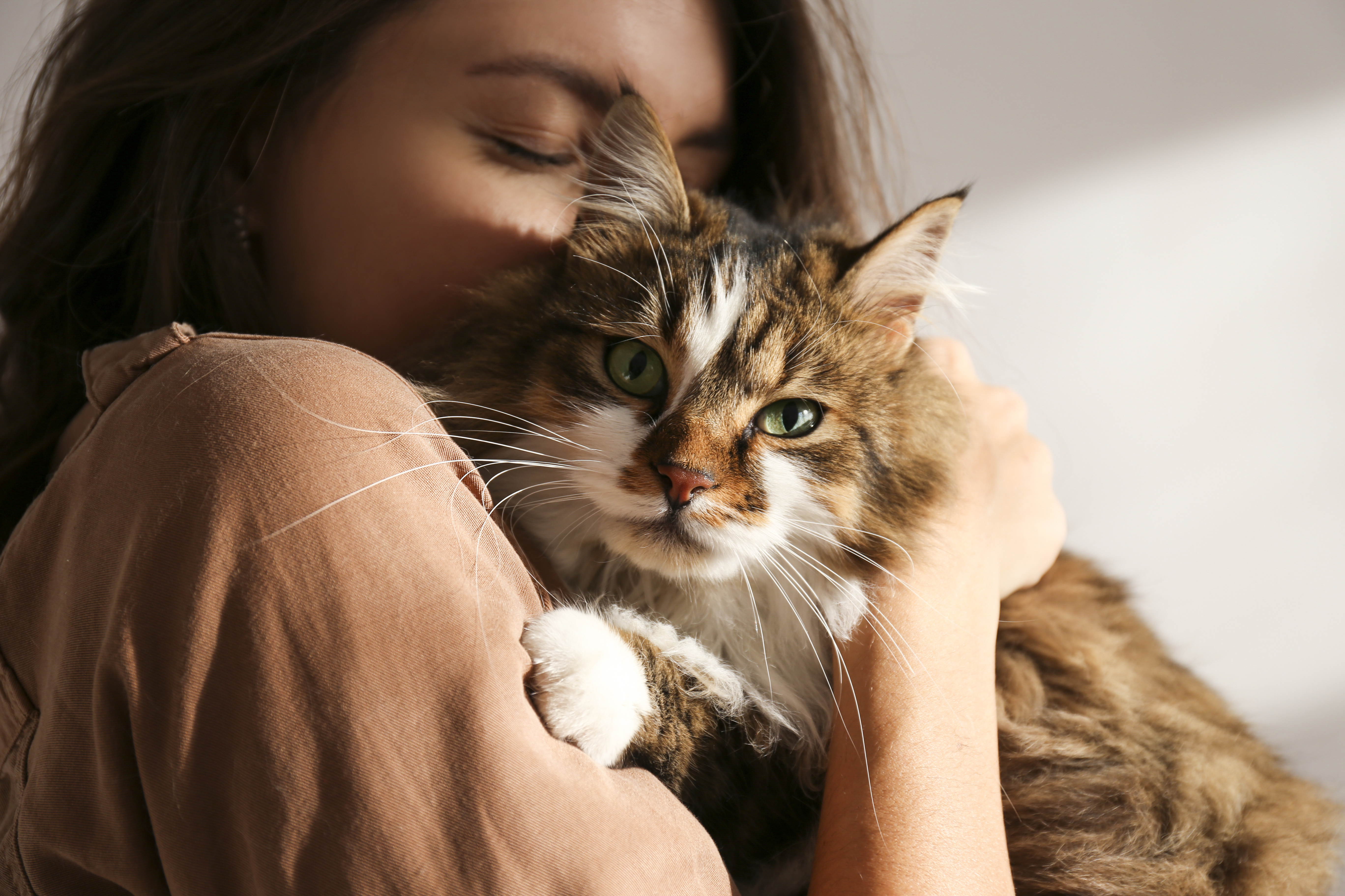 Women holding smug looking cat